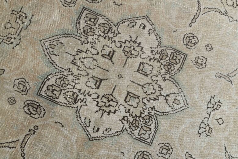 Antique Hand-Knotted 10x13 Brown Persian Rug