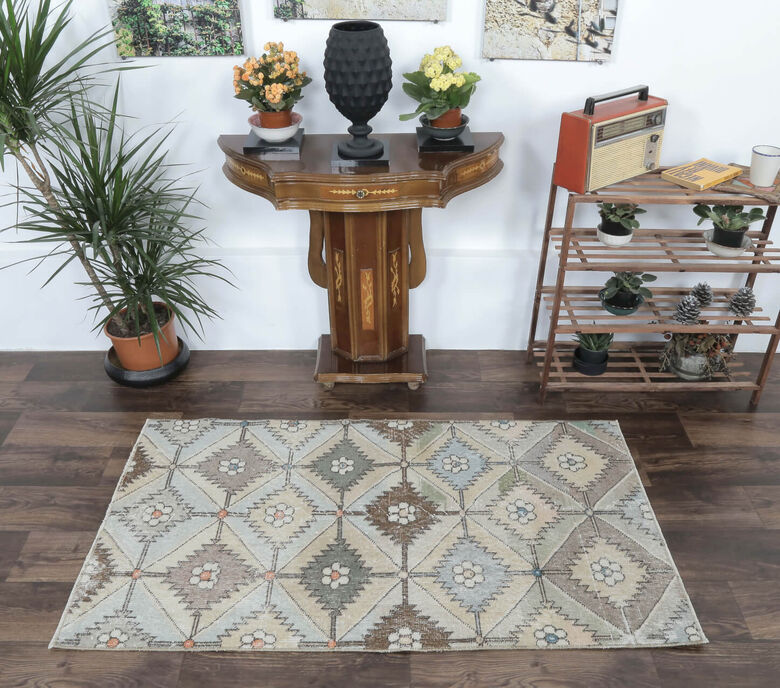 Bashakan - Eclectic Muted Colored Rug