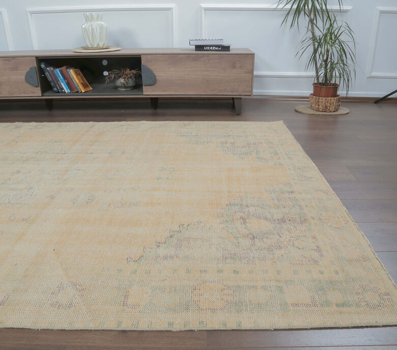 Ferhan - Faded Beige Blush Boho Vintage Rug