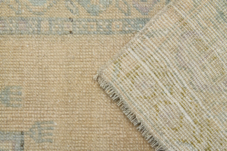 Antique Neutral Area Carpet