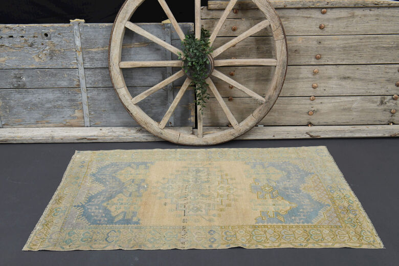 Antique Neutral Area Carpet