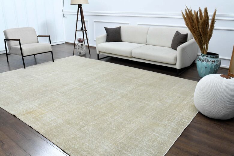 Distressed Beige Anatolian Area Rug
