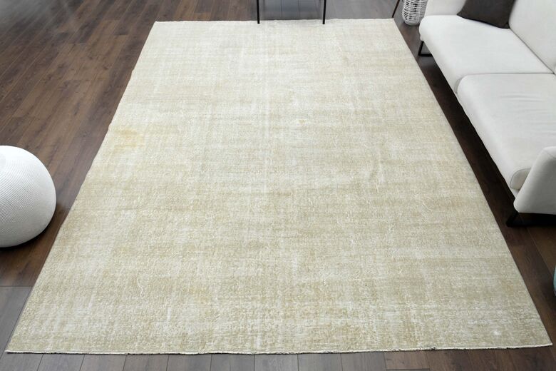 Distressed Beige Anatolian Area Rug