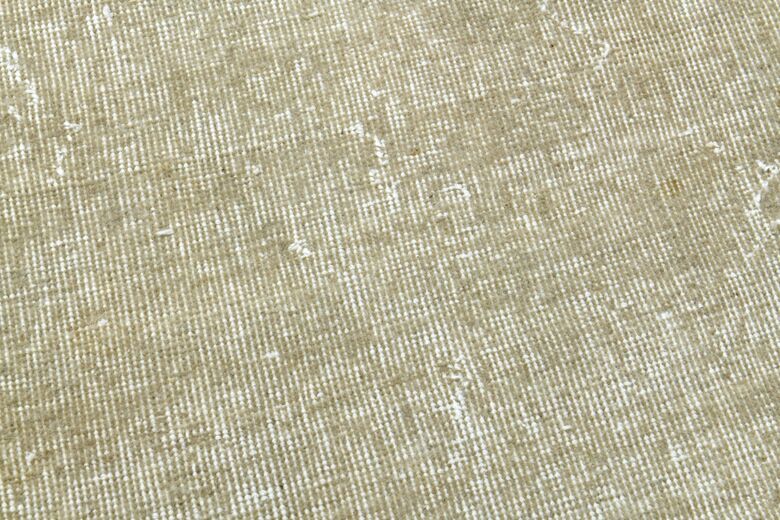 Distressed Beige Anatolian Area Rug