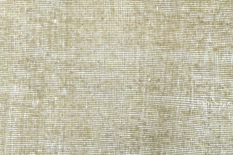 Distressed Beige Anatolian Area Rug