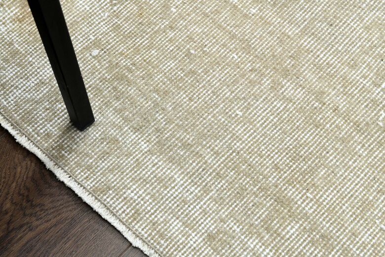 Distressed Beige Anatolian Area Rug