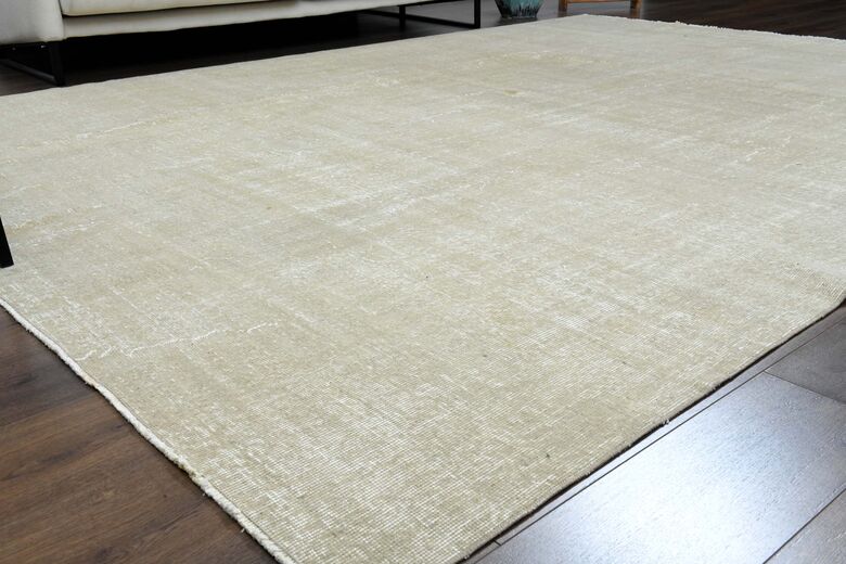 Distressed Beige Anatolian Area Rug