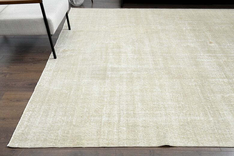 Distressed Beige Anatolian Area Rug