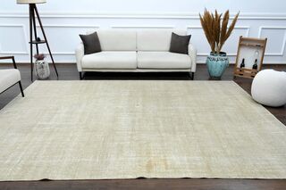 Distressed Beige Anatolian Area Rug - Thumbnail