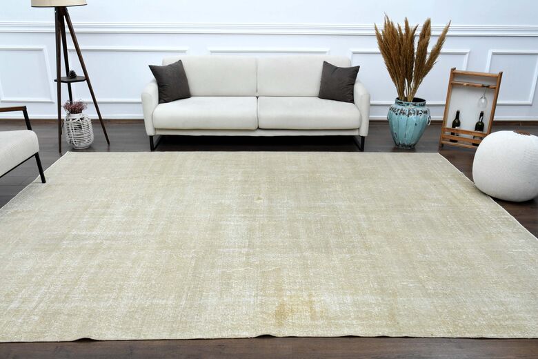 Distressed Beige Anatolian Area Rug