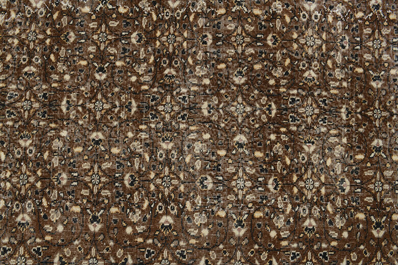 Antique Brown Beige Rug