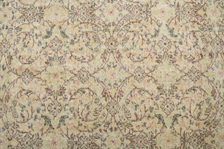 Floral Beige Brown Rug