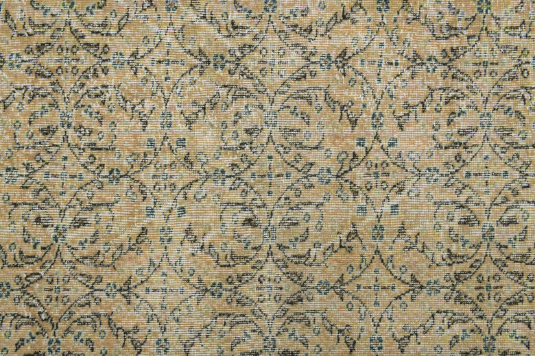 Antique Brown Beige Rug