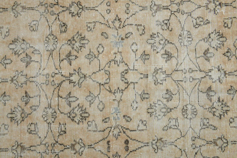 Orange Beige Distressed Rug