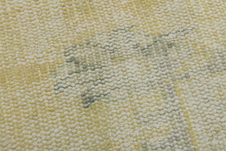 Distressed Orange Area Anatolian Rug