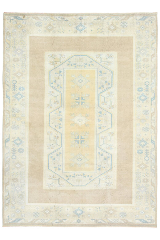 Neutral Vintage Area Rug