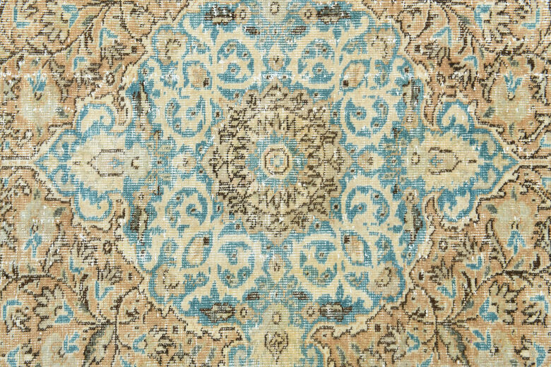 Oriental Vintage Area Rug