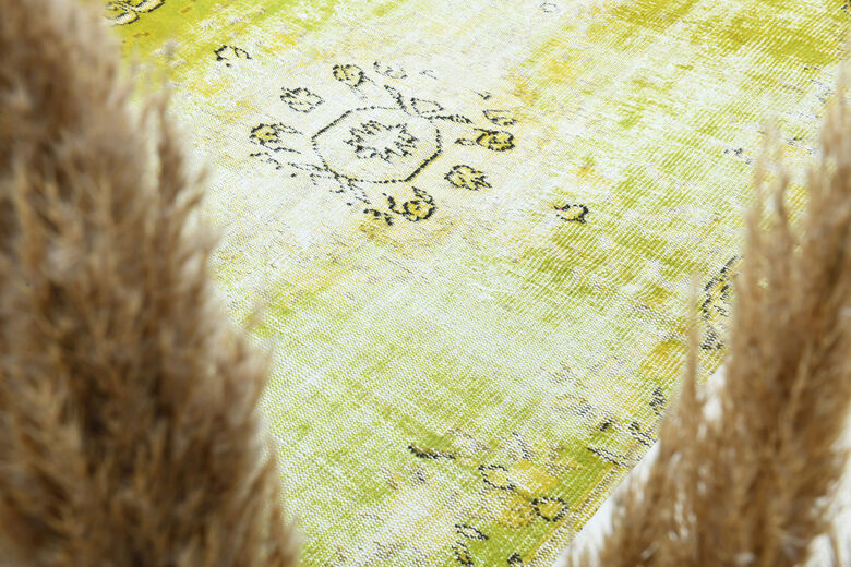 Pistachio - Distressed Vintage Area Rug