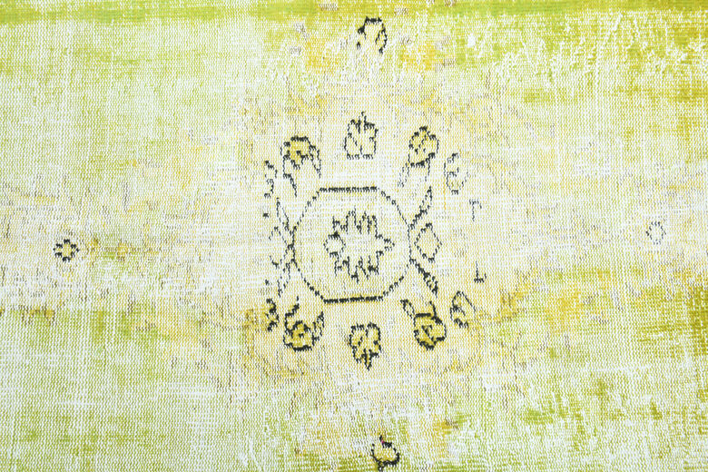 Pistachio - Distressed Vintage Area Rug