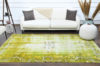 Pistachio - Distressed Vintage Area Rug - Thumbnail