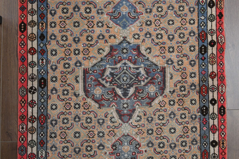 Eclectic Decor - Turkish Runner Rug