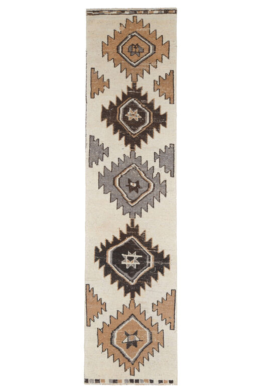 3x11 Bohemian Hand Knotted Runner Rug