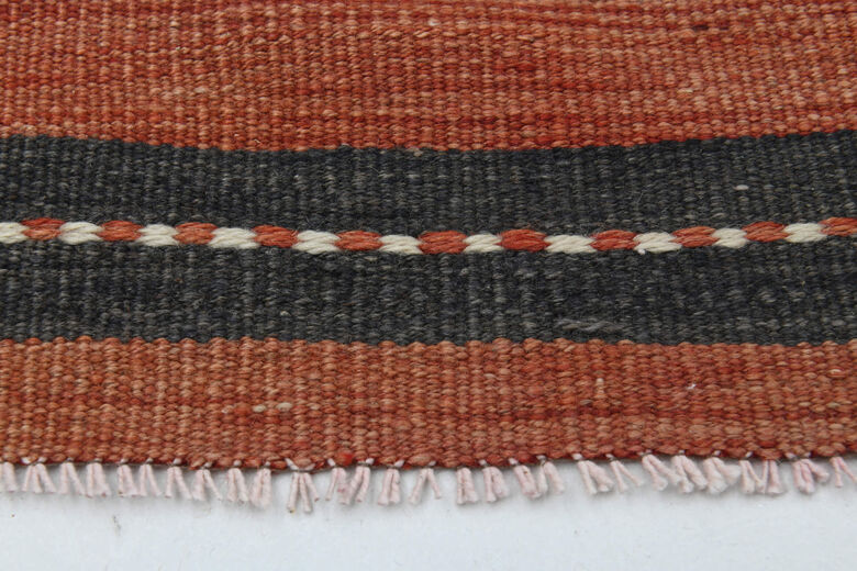 Isparta Striped Runner