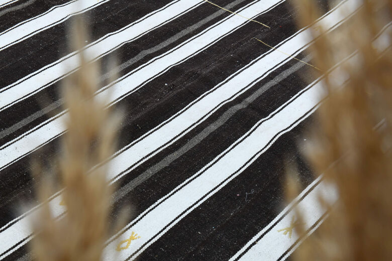 Black & White Striped