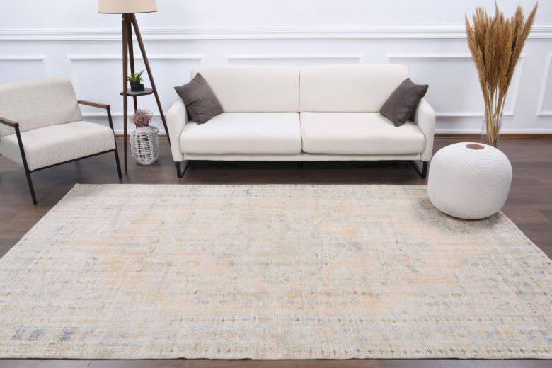 Vintage Neutral Area Rug