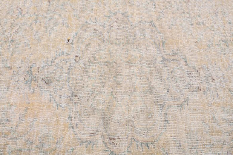 Vintage Neutral Area Rug