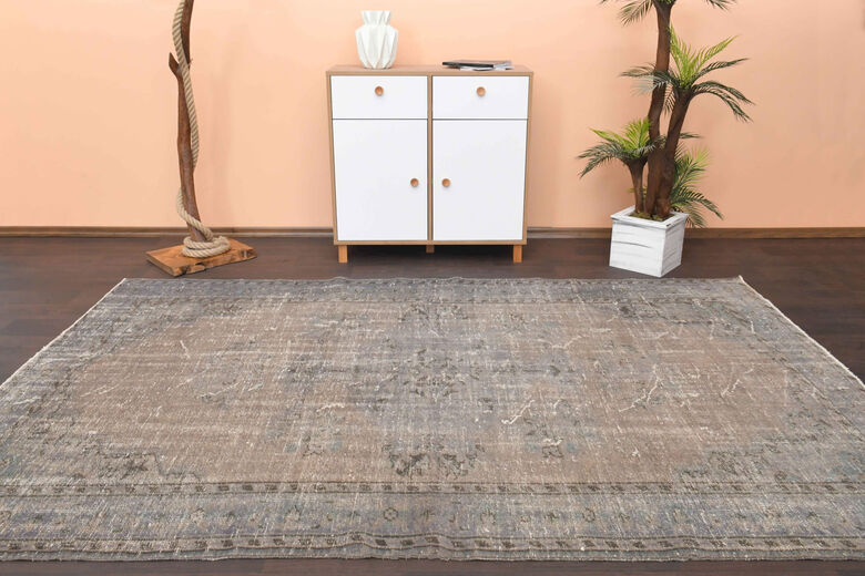 Vintage Neutral Area Rug