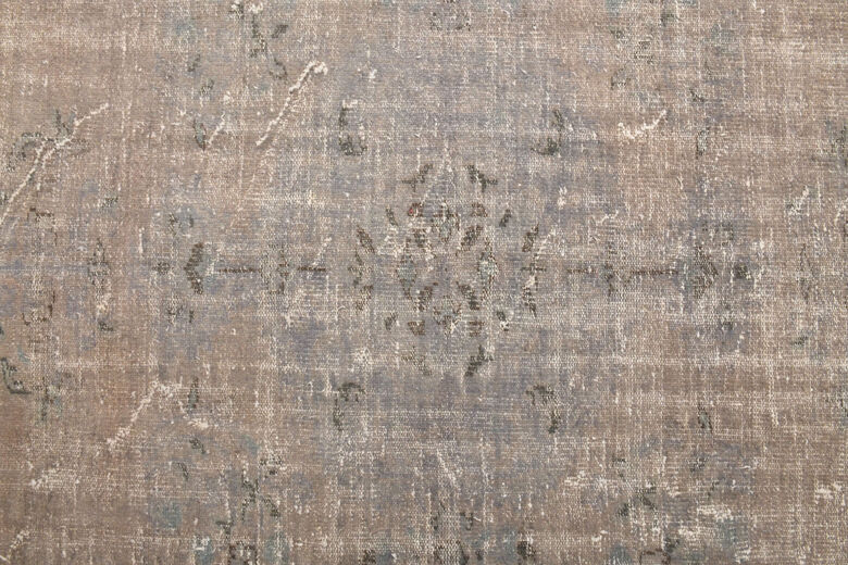 Vintage Neutral Area Rug