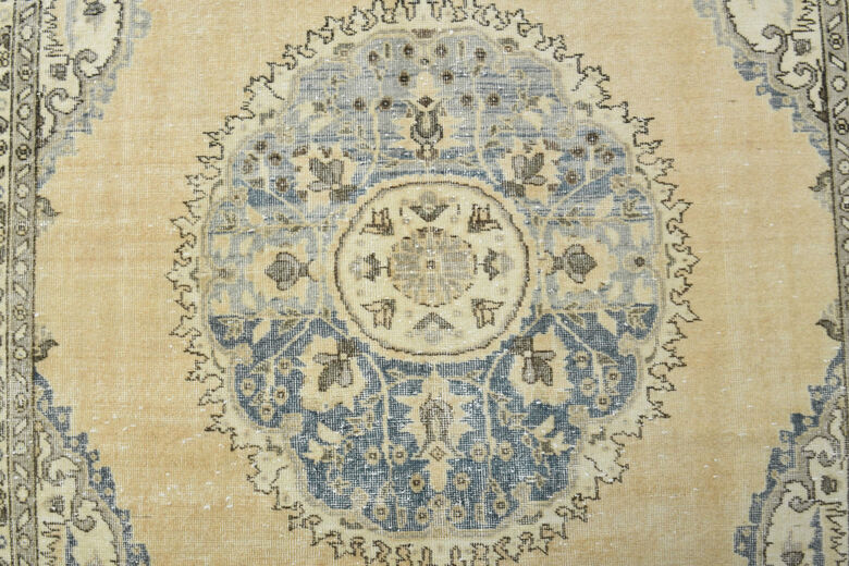 Medallion Oriental Vintage Rug