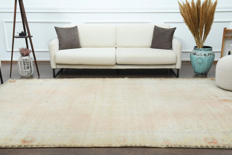 Distressed Antique Area Rug