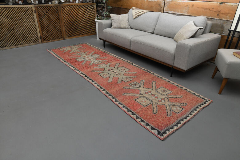 3x10 Pink Vintage Runner Rug